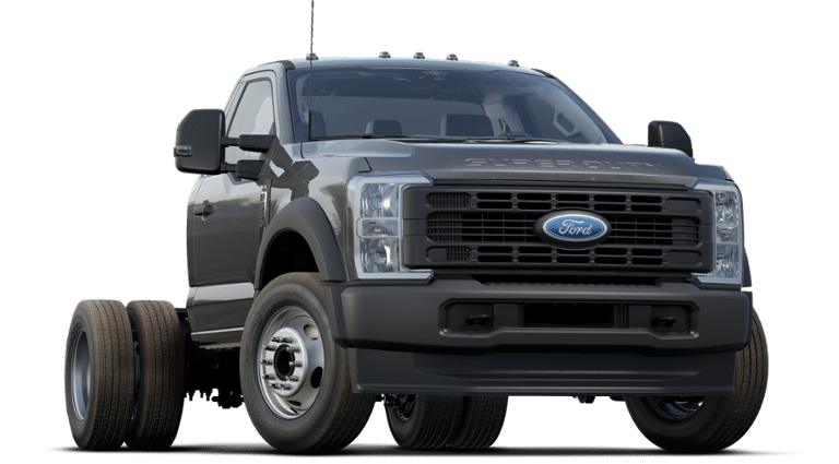 2024 Ford Super Duty F-600 DRW Vehicle Photo in Terrell, TX 75160